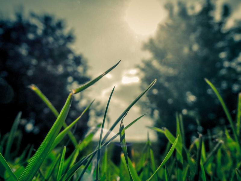 iCloud常见问题<br>锁机/无法退出一站式解决